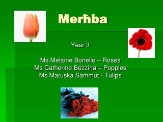mer ba