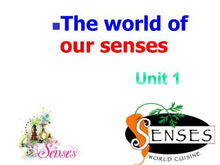 The world of our senses