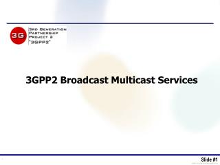 3GPP2 Broadcast Multicast Services
