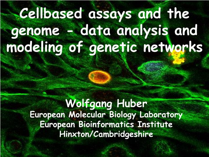 cellbased assays and the genome data analysis and modeling of genetic networks