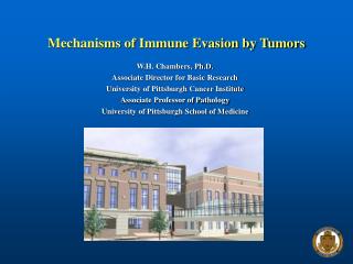 Mechanisms of Immune Evasion by Tumors