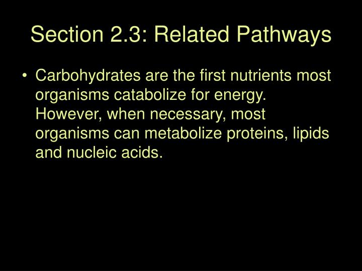 section 2 3 related pathways