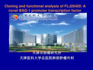 Cloning and functional analysis of FLJ20420: A novel BAG-1 promoter transcription factor
