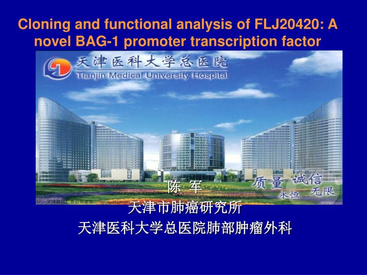 cloning and functional analysis of flj20420 a novel bag 1 promoter transcription factor