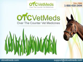 Joint Care Supplements For Horses