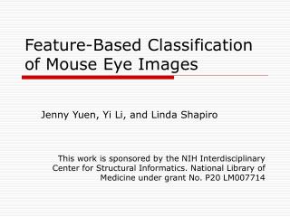 Feature-Based Classification of Mouse Eye Images