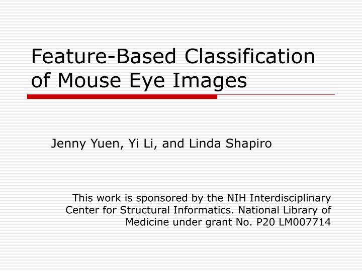 feature based classification of mouse eye images