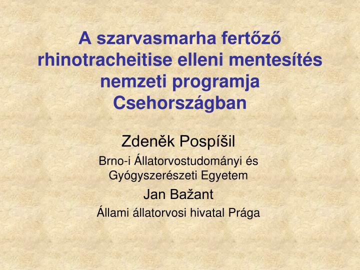 a szarvasmarha fert z rhinotracheitise elleni mentes t s nemzeti programja csehorsz gban