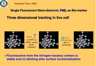 Single Fluorescent Nano-diamond, FND , as Bio-marker