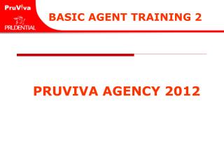 pruviva agency 2012
