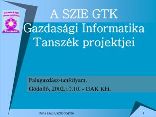 a szie gtk gazdas gi informatika tansz k projektjei