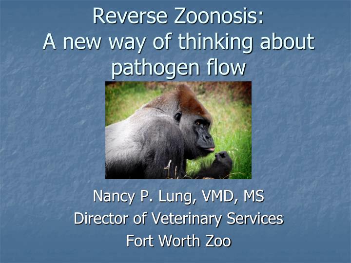 reverse zoonosis a new way of thinking about pathogen flow
