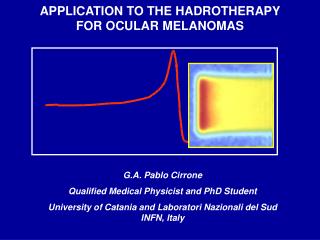 APPLICATION TO THE HADROTHERAPY FOR OCULAR MELANOMAS