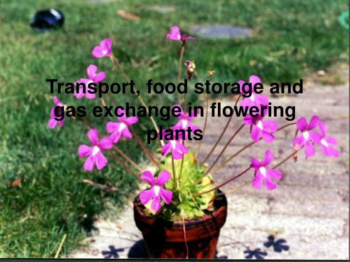 transport food storage and gas exchange in flowering plants
