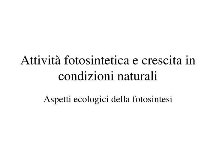 attivit fotosintetica e crescita in condizioni naturali