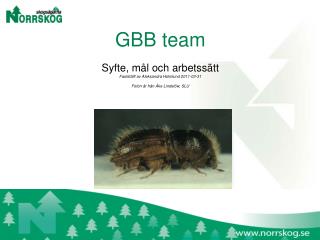 gbb team