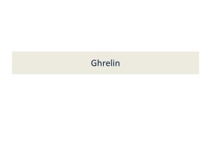 Ghrelin