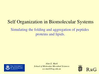 Self Organization in Biomolecular Systems