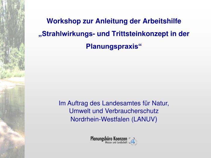 workshop zur anleitung der arbeitshilfe strahlwirkungs und trittsteinkonzept in der planungspraxis