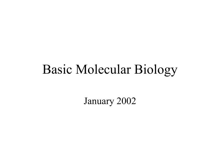 basic molecular biology