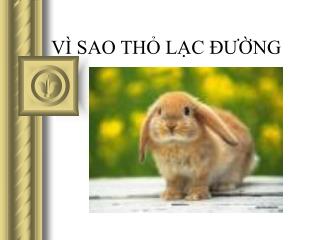v sao th l c ng
