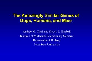 The Amazingly Similar Genes of Dogs, Humans, and Mice