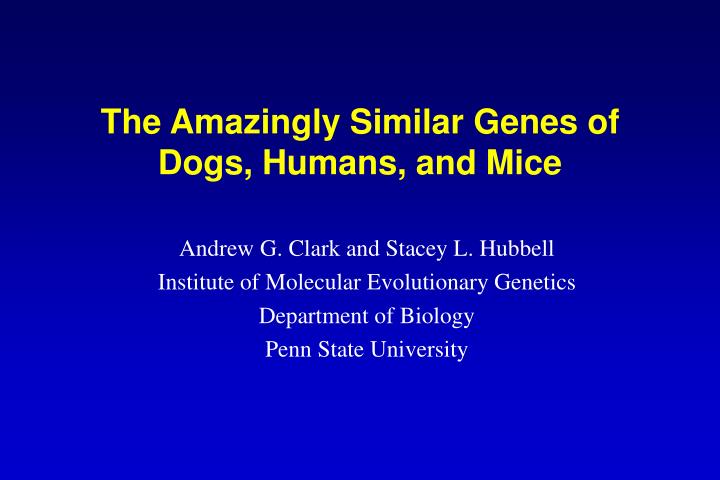 the amazingly similar genes of dogs humans and mice