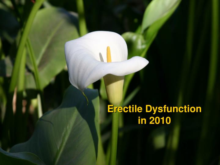 erectile dysfunction in 2010
