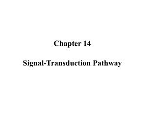 Chapter 14 Signal-Transduction Pathway