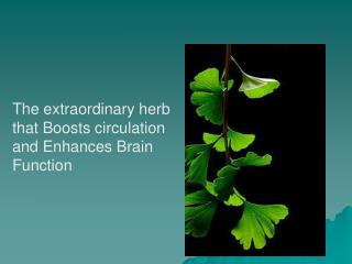 The extraordinary herb that Boosts circulation and Enhances Brain Function