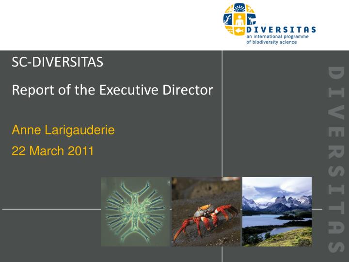 sc diversitas report of the executive director