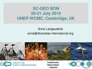 SC-GEO BON 20-21 July 2010 UNEP-WCMC, Cambridge, UK