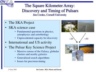 The Square Kilometer Array: Discovery and Timing of Pulsars Jim Cordes, Cornell University