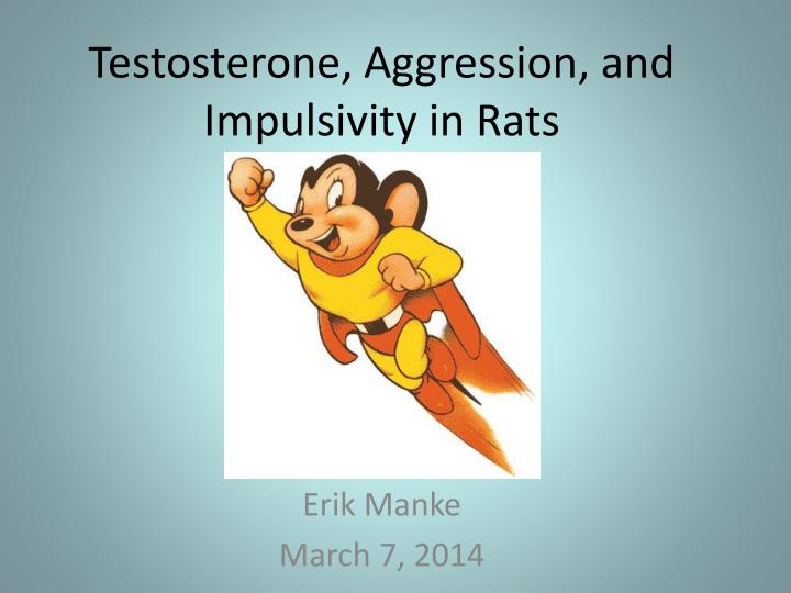 testosterone aggression and impulsivity in rats