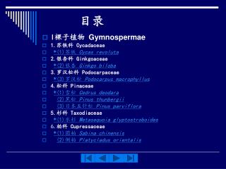 I 裸子植物 Gymnospermae 1. 苏铁科 Cycadaceae *(1) 苏铁 Cycas revoluta 2. 银杏科 Ginkgoaceae