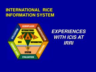 INTERNATIONAL RICE INFORMATION SYSTEM