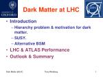 Exploring Dark Matter Candidates through LHC and SUSY: Challenges and Perspectives - slide 1