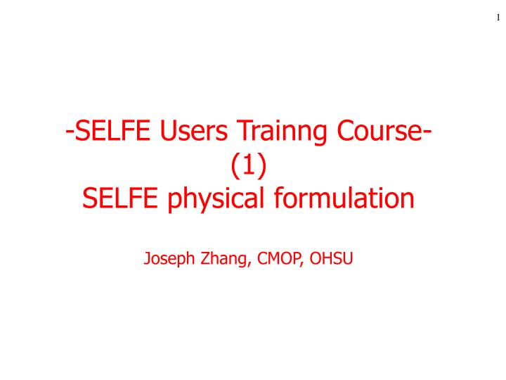 selfe users trainng course 1 selfe physical formulation joseph zhang cmop ohsu