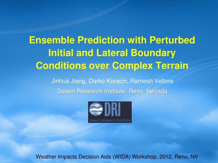 ensemble prediction with perturbed initial and lateral boundary conditions over complex terrain