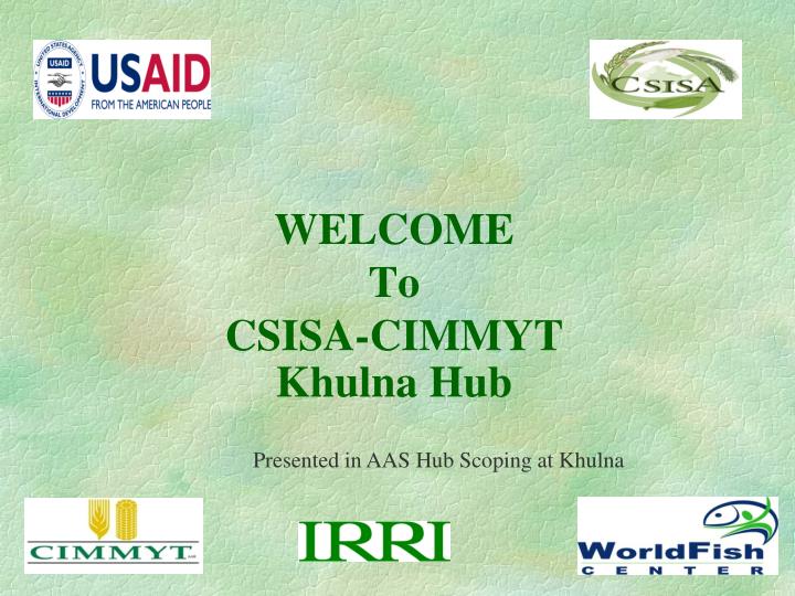 welcome to csisa cimmyt khulna hub