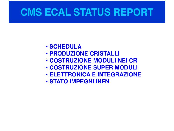cms ecal status report