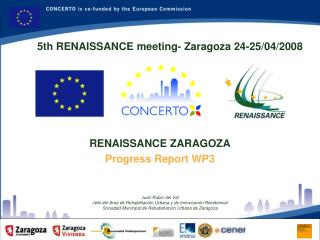 RENAISSANCE ZARAGOZA Progress Report WP3