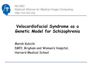 Velocardiofacial Syndrome as a Genetic Model for Schizophrenia