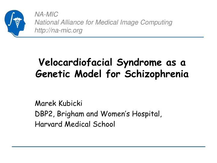 velocardiofacial syndrome as a genetic model for schizophrenia