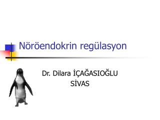 n r endokrin reg lasyon