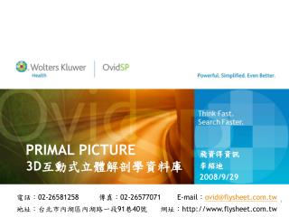 primal picture 3d
