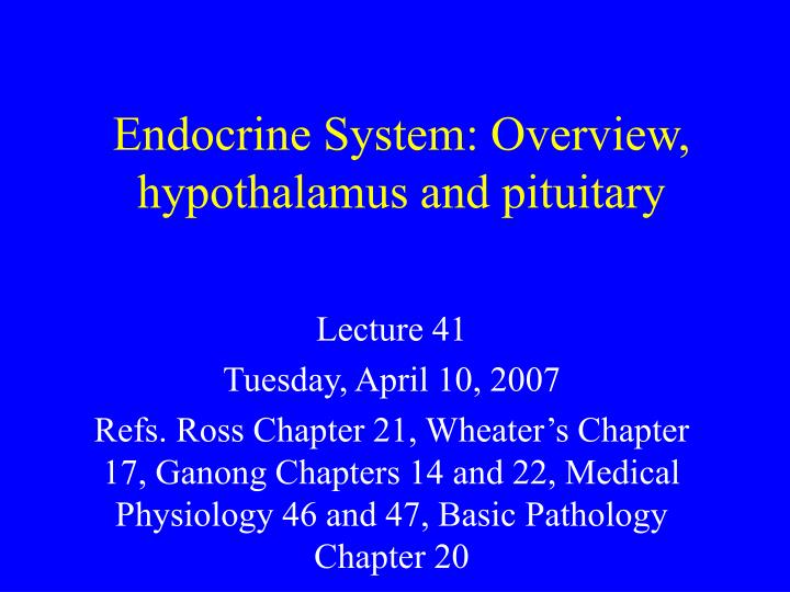 endocrine system overview hypothalamus and pituitary