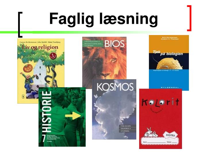 faglig l sning