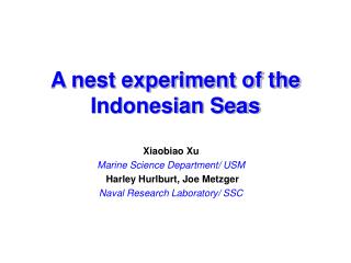 A nest experiment of the Indonesian Seas