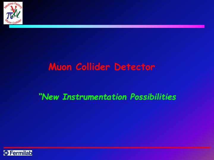 muon collider detector
